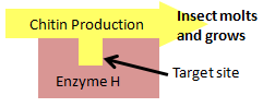 Diagram showing target site for insecticide