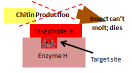 diagram showing insecticide binding with target site