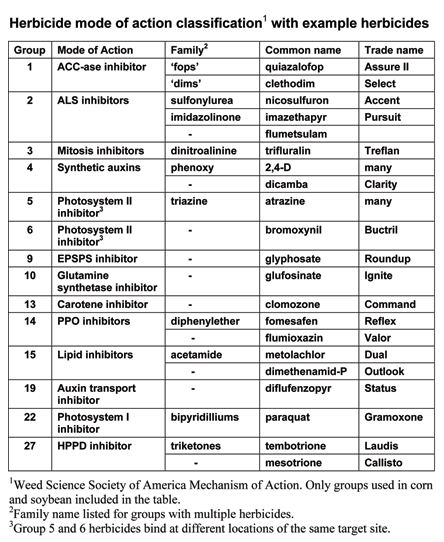 Weed Herbicide Chart