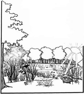 drawing of wildlife in natural setting