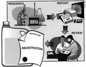 pesticide registration process diagram