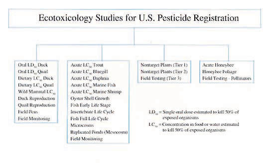 scientific information required by EPA for pesticide registration