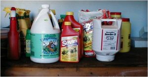 Using Pesticides Safely and Correctly – Pesticide Environmental Stewardship