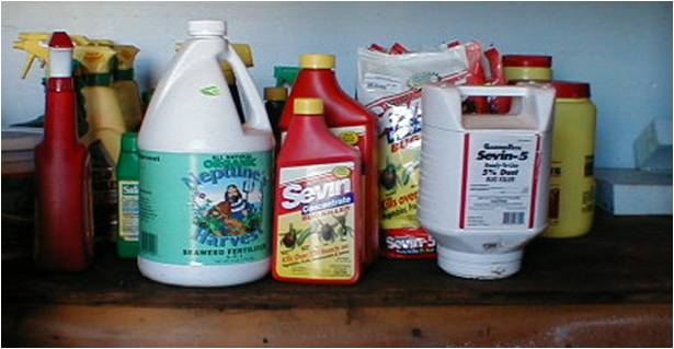 insecticides and pesticides