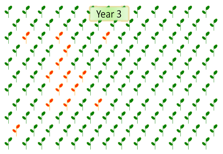 Resistant population diagram Year 3