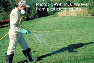 man spraying turf