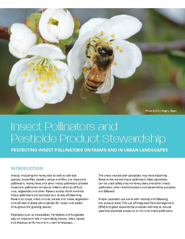 Insect Pollinators and Pesticide Product Stewardship June 2018 Cover