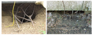 sticks in front of holes